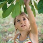 Permalink to: Organic Tree Service GirlPicking