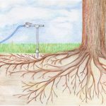 Permalink to: This Year More Trees Will Need a Deep Root Feed drawing (Small)